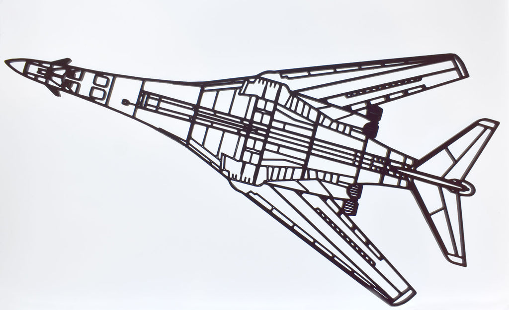3D Printed Rockwell B-1 Lancer with swept wings, Supersonic Jet Bomber Wall Art