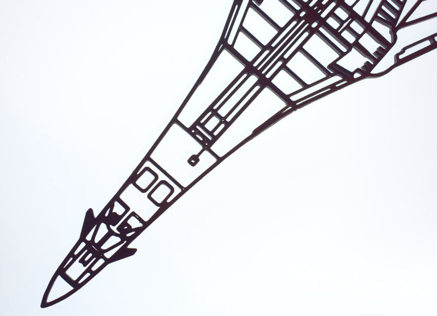 3D Printed Rockwell B-1 Lancer with swept wings, Supersonic Jet Bomber Wall Art