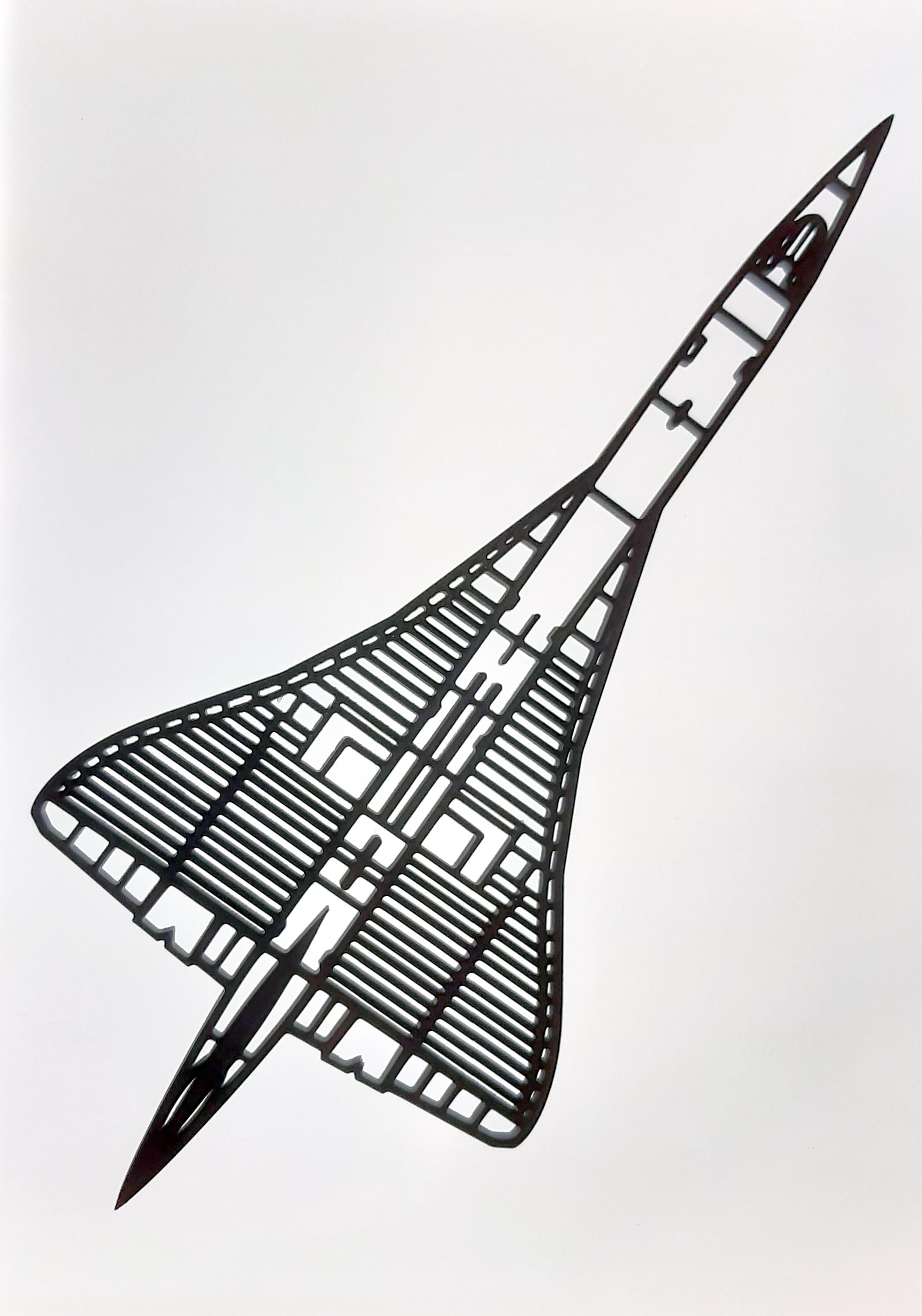 BAC/Aerospatiale Concorde Supersonic Jet Airliner Wall Art - (20cm to 45cm in length)